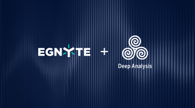 Deep Analysis Egnyte vendor profile 2025