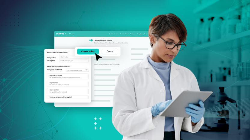The Access Protocol: Mastering Who, What, and When in Regulated Environments.