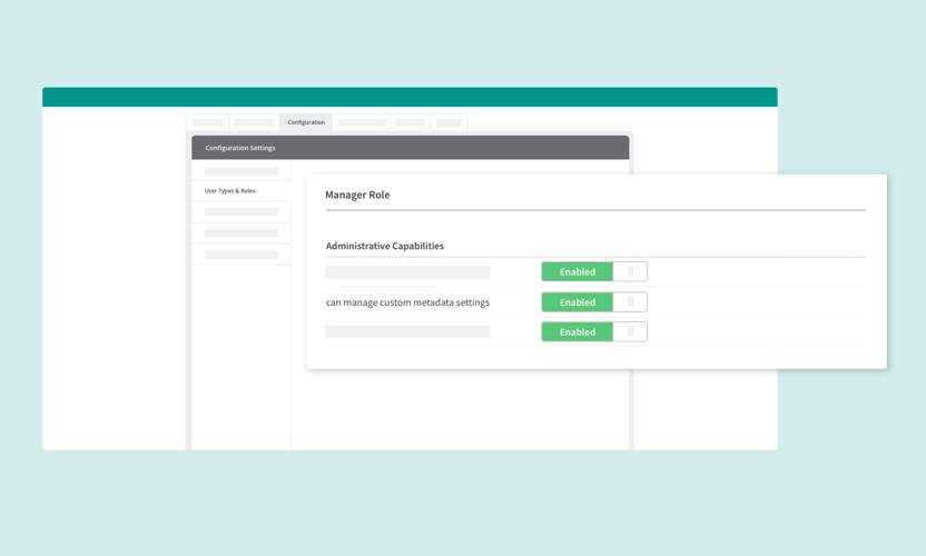 Custom Metadata Management Role