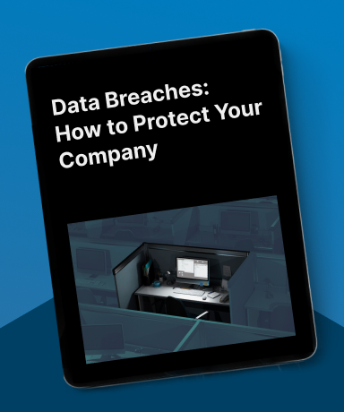 Data Breaches: How to Protect Your Company