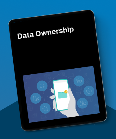 Data Ownership - Rules and Processes