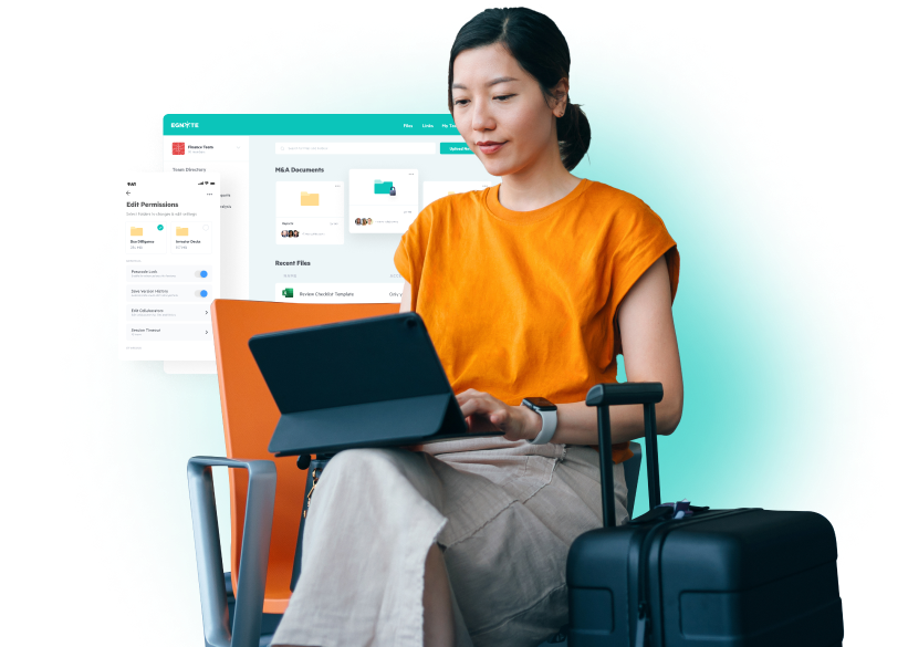 Egnyte: Fast Large File Sharing