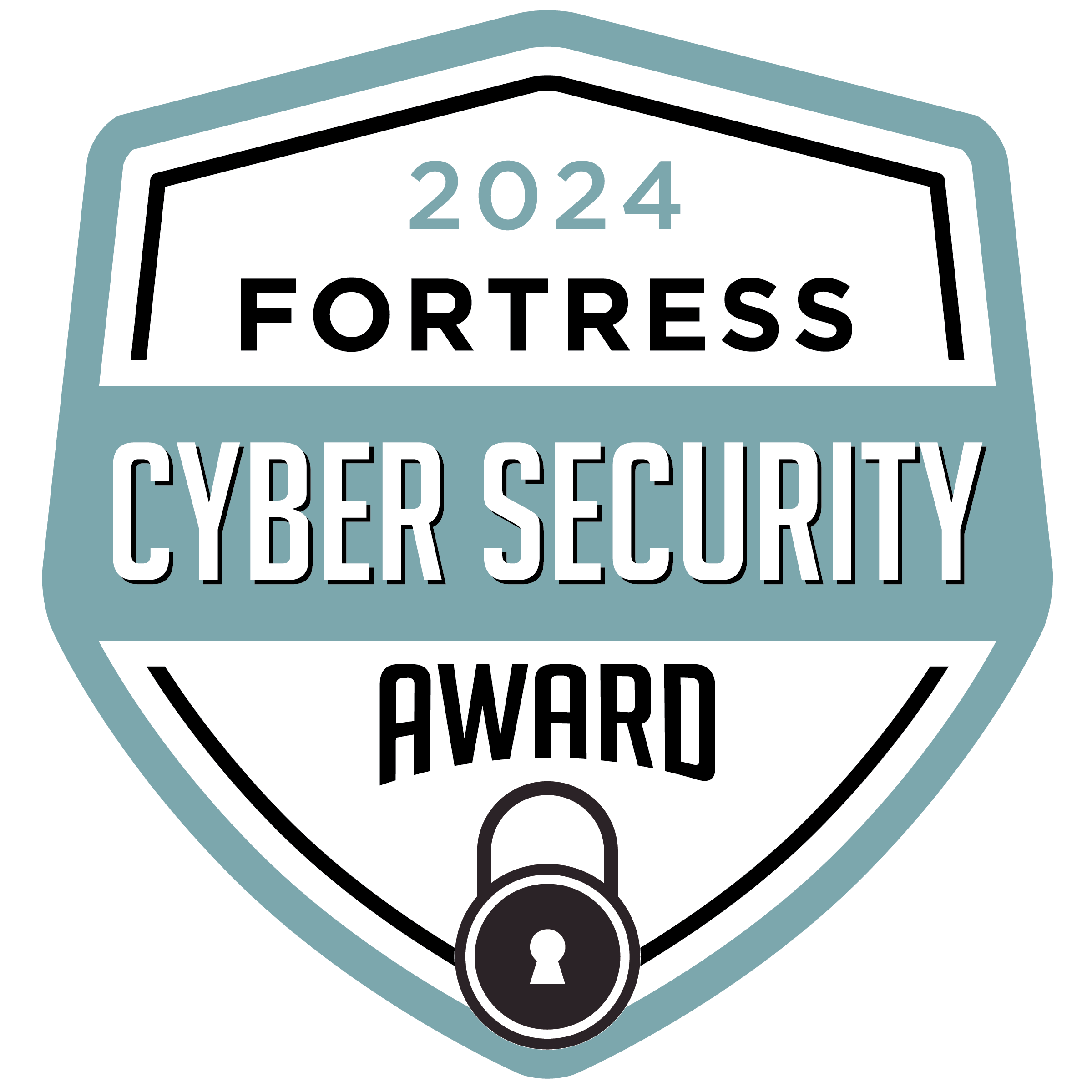 Cyber Security Award